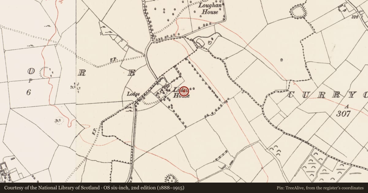 Ordnance Survey six-inch map, 2nd edition (1888–1915) covering the location of Standing stone, Lislea, County Longford, with a pin at the register's coordinates