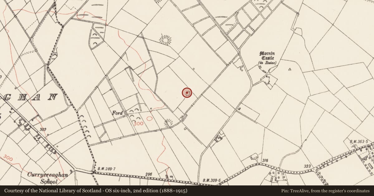 Ordnance Survey six-inch map, 2nd edition (1888–1915) covering the location of Kiln - lime, Mornin, County Longford, with a pin at the register's coordinates