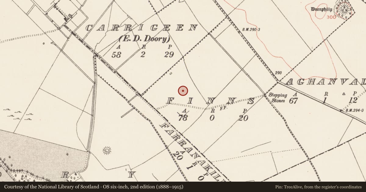 Ordnance Survey six-inch map, 2nd edition (1888–1915) covering the location of Ringfort - rath, Finns, County Longford, with a pin at the register's coordinates