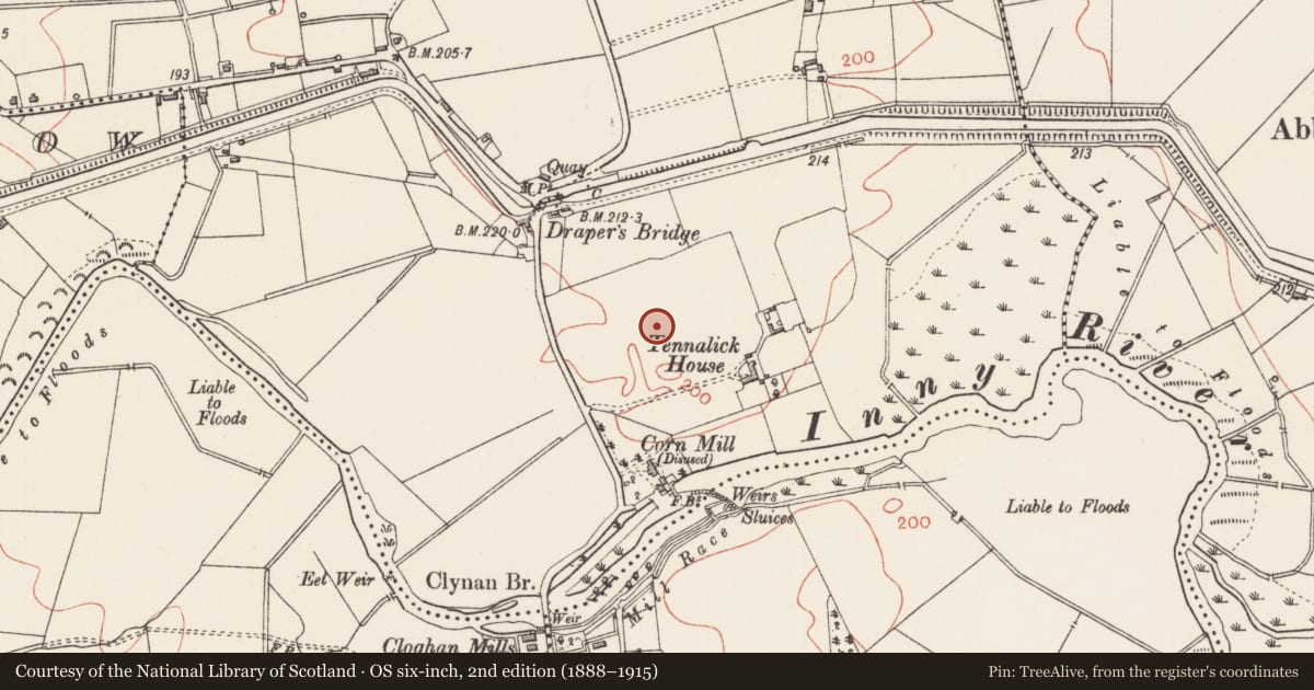 Ordnance Survey six-inch map, 2nd edition (1888–1915) covering the location of Earthwork, Tennalick, County Longford, with a pin at the register's coordinates