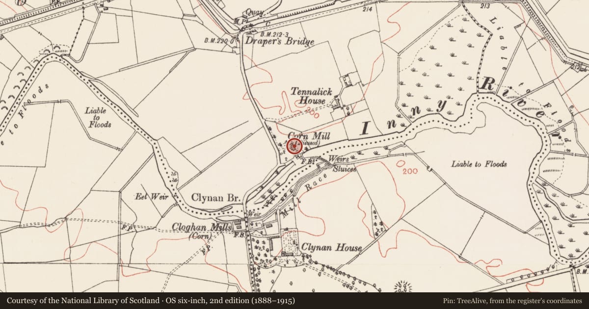 Ordnance Survey six-inch map, 2nd edition (1888–1915) covering the location of Architectural fragment, Tennalick, County Longford, with a pin at the register's coordinates