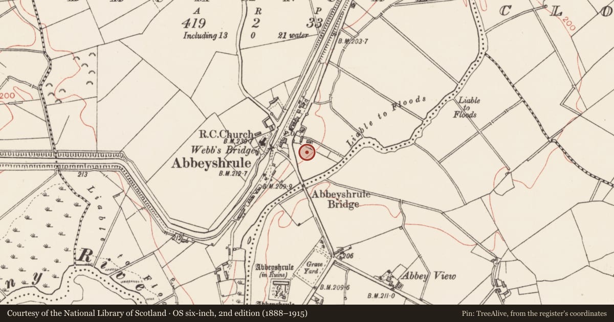 Ordnance Survey six-inch map, 2nd edition (1888–1915) covering the location of Cross - High cross (present location), Drumanure, County Longford, with a pin at the register's coordinates