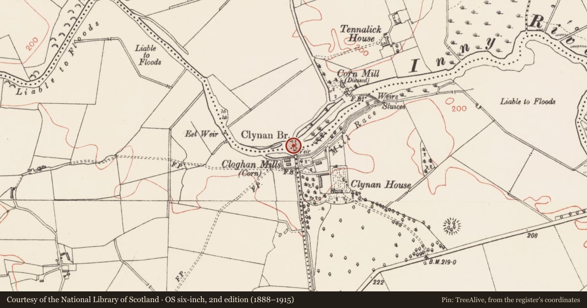 Ordnance Survey six-inch map, 2nd edition (1888–1915) covering the location of Bridge, Cloghan, Tennalick, County Longford, with a pin at the register's coordinates