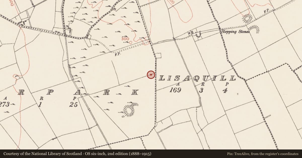 Ordnance Survey six-inch map, 2nd edition (1888–1915) covering the location of House - indeterminate date, Deerpark, County Longford, with a pin at the register's coordinates