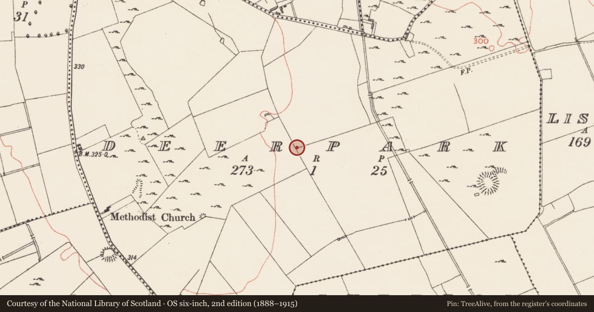 Ordnance Survey six-inch map, 2nd edition (1888–1915) covering the location of Deer park, Deerpark, County Longford, with a pin at the register's coordinates