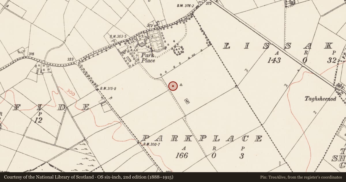 Ordnance Survey six-inch map, 2nd edition (1888–1915) covering the location of Ringfort - unclassified, Parkplace, County Longford, with a pin at the register's coordinates