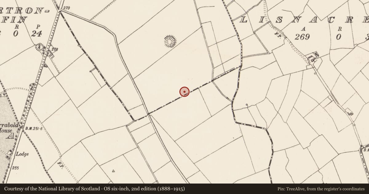 Ordnance Survey six-inch map, 2nd edition (1888–1915) covering the location of Enclosure, Killeendowd, Taghshinny, County Longford, with a pin at the register's coordinates