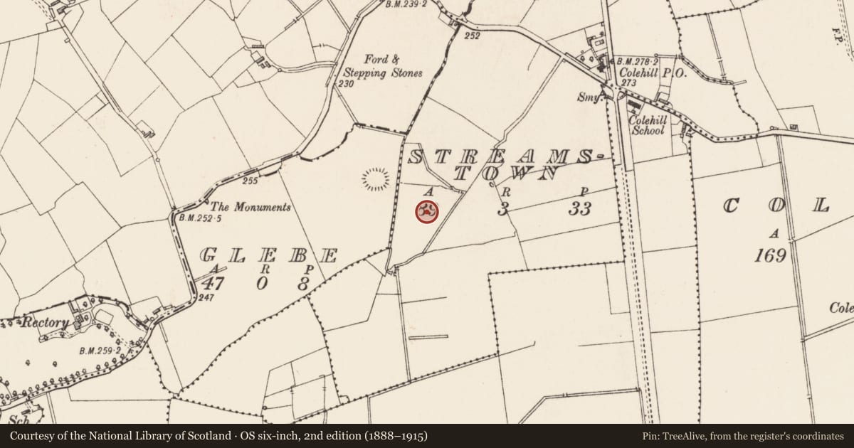 Ordnance Survey six-inch map, 2nd edition (1888–1915) covering the location of Earthwork, Streamstown, County Longford, with a pin at the register's coordinates