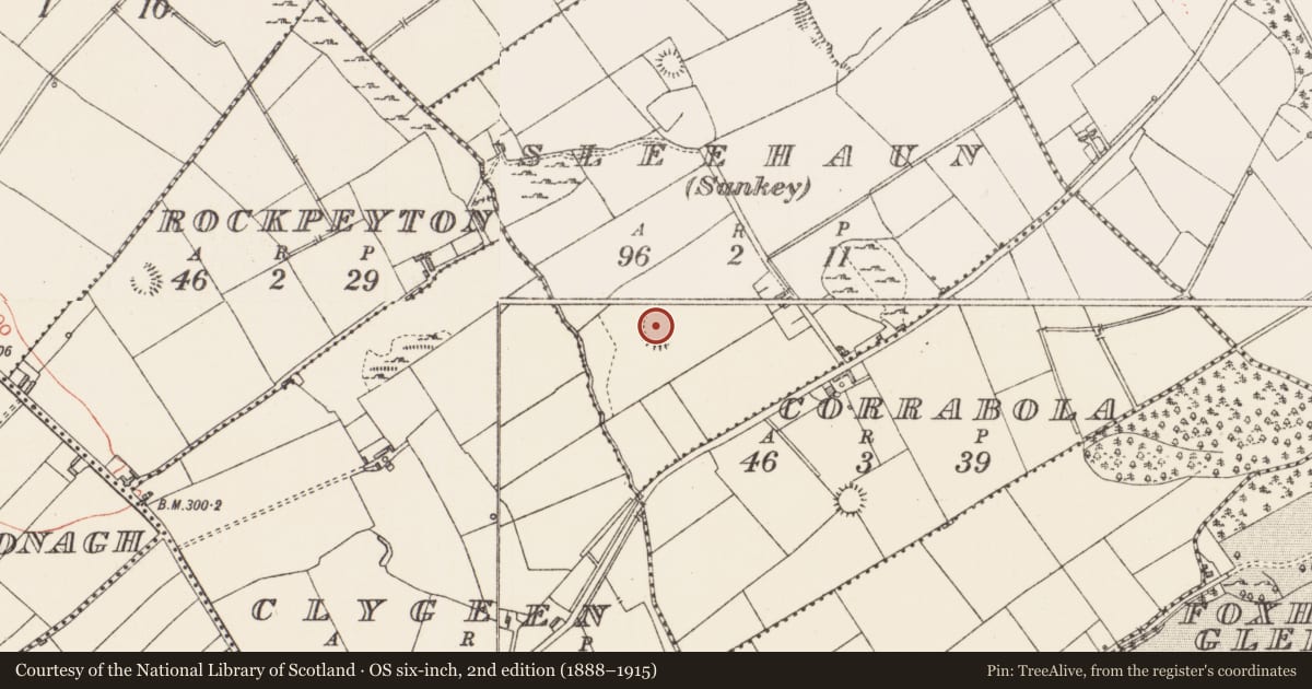Ordnance Survey six-inch map, 2nd edition (1888–1915) covering the location of Ringfort - rath, Sleehaun (Sankey), County Longford, with a pin at the register's coordinates