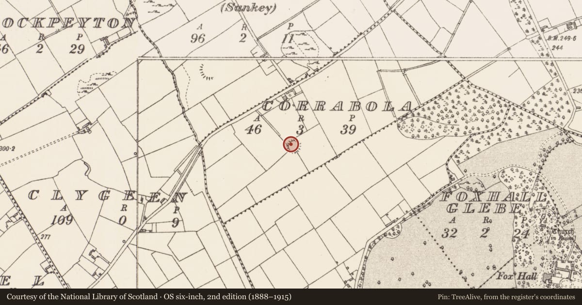 Ordnance Survey six-inch map, 2nd edition (1888–1915) covering the location of Ringfort - rath, Corrabola, County Longford, with a pin at the register's coordinates