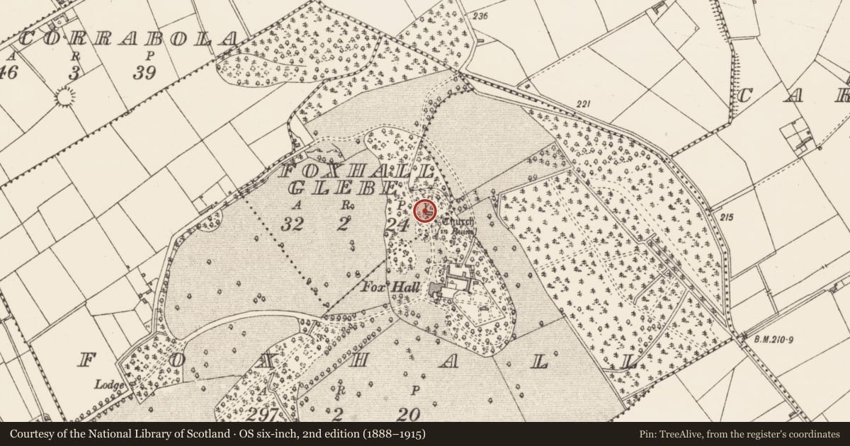 Ordnance Survey six-inch map, 2nd edition (1888–1915) covering the location of Church, Foxhall Glebe, County Longford, with a pin at the register's coordinates