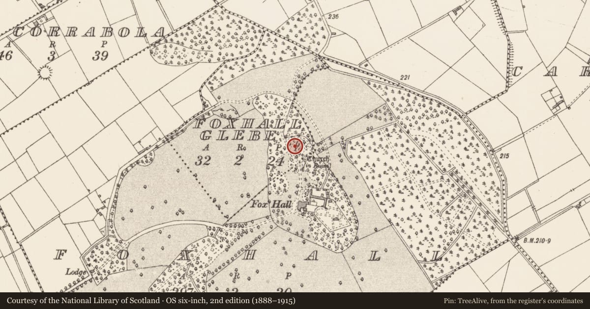 Ordnance Survey six-inch map, 2nd edition (1888–1915) covering the location of Graveyard, Foxhall Glebe, County Longford, with a pin at the register's coordinates