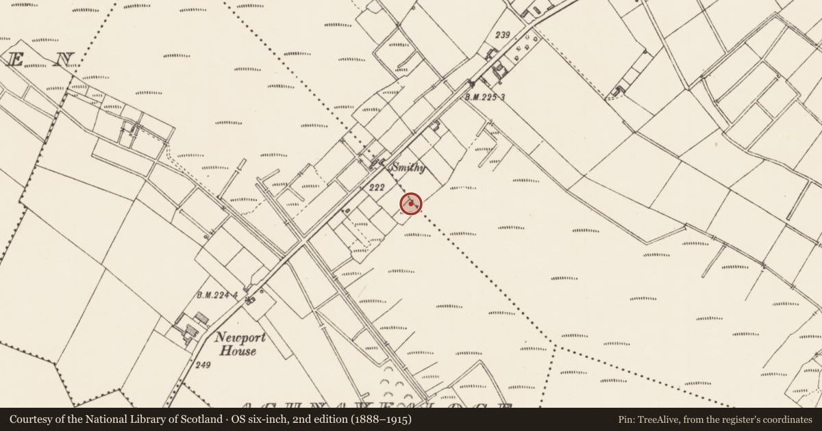 Ordnance Survey six-inch map, 2nd edition (1888–1915) covering the location of Road - class 2 togher, Aghnavealoge, Clontymullan, County Longford, with a pin at the register's coordinates
