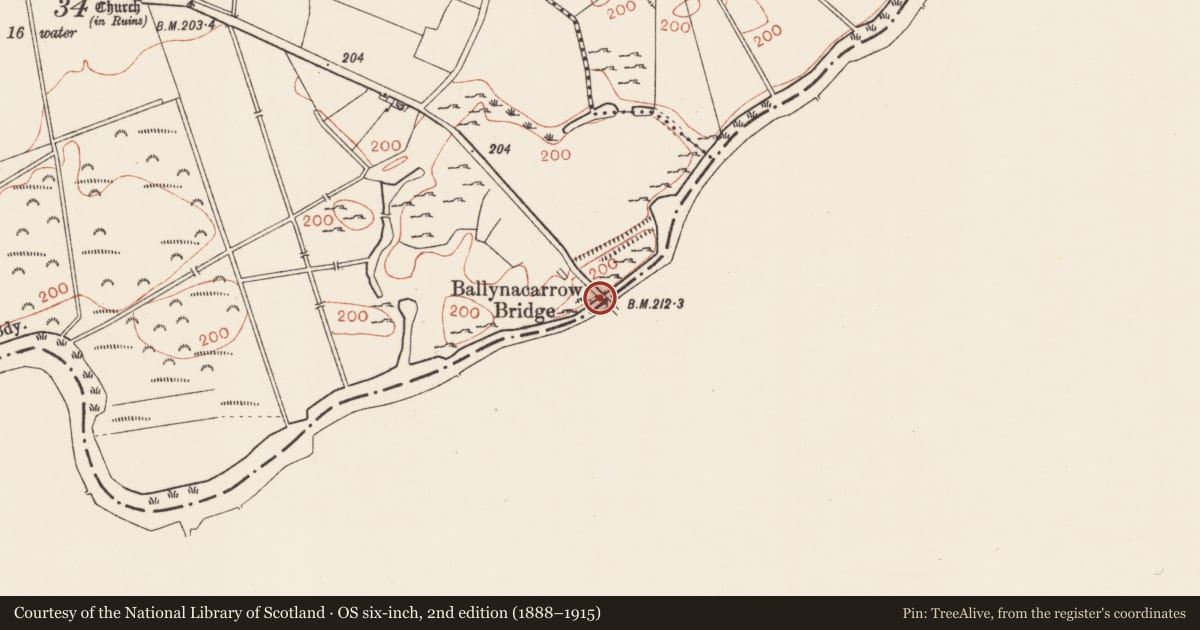 Ordnance Survey six-inch map, 2nd edition (1888–1915) covering the location of Bridge, Agharra, County Longford, with a pin at the register's coordinates