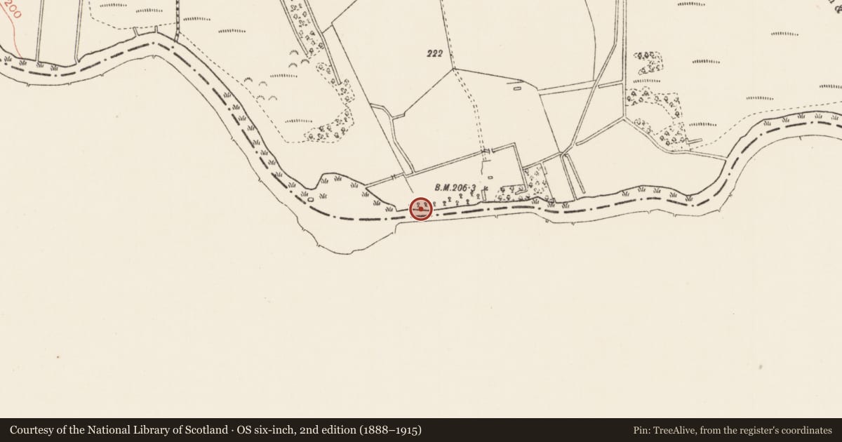 Ordnance Survey six-inch map, 2nd edition (1888–1915) covering the location of Ford, Newport, County Longford, with a pin at the register's coordinates
