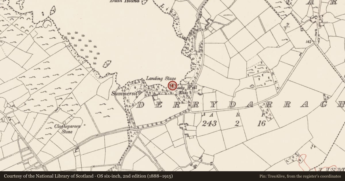 Ordnance Survey six-inch map, 2nd edition (1888–1915) covering the location of Ritual site - holy well, Derrydarragh, County Longford, with a pin at the register's coordinates