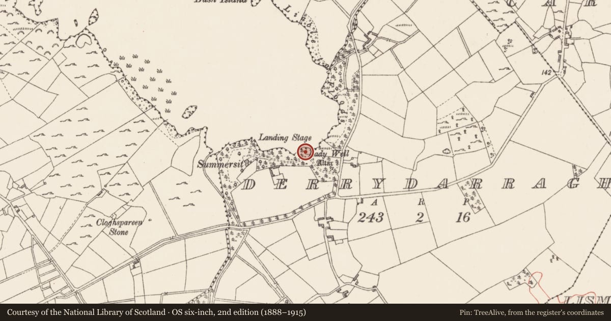 Ordnance Survey six-inch map, 2nd edition (1888–1915) covering the location of Ritual site - holy tree/bush, Derrydarragh, County Longford, with a pin at the register's coordinates