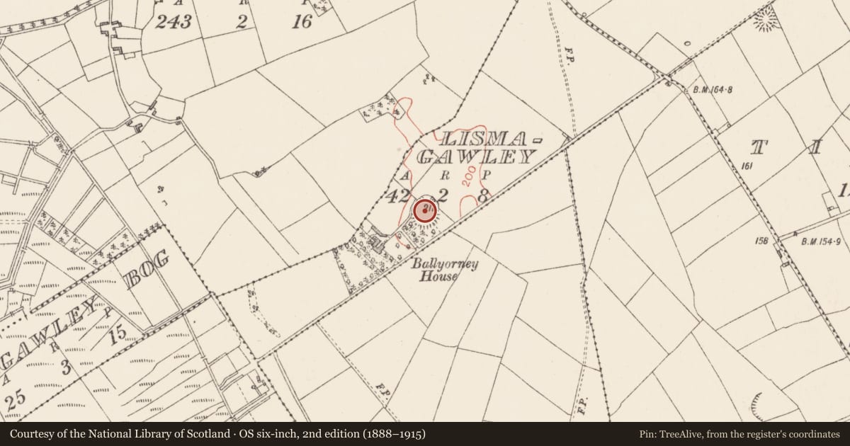 Ordnance Survey six-inch map, 2nd edition (1888–1915) covering the location of Ringfort - rath, Lismagawley, County Longford, with a pin at the register's coordinates