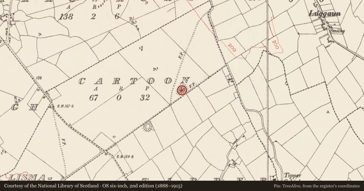 Ordnance Survey six-inch map, 2nd edition (1888–1915) covering the location of Ringfort - rath, Cartoon, Tipper, County Longford, with a pin at the register's coordinates