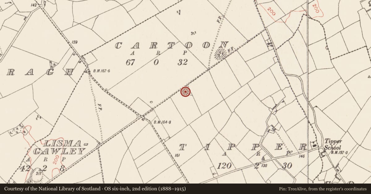Ordnance Survey six-inch map, 2nd edition (1888–1915) covering the location of Ringfort - rath, Cartoon, Tipper, County Longford, with a pin at the register's coordinates