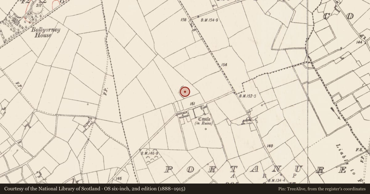 Ordnance Survey six-inch map, 2nd edition (1888–1915) covering the location of Enclosure, Portanure, County Longford, with a pin at the register's coordinates