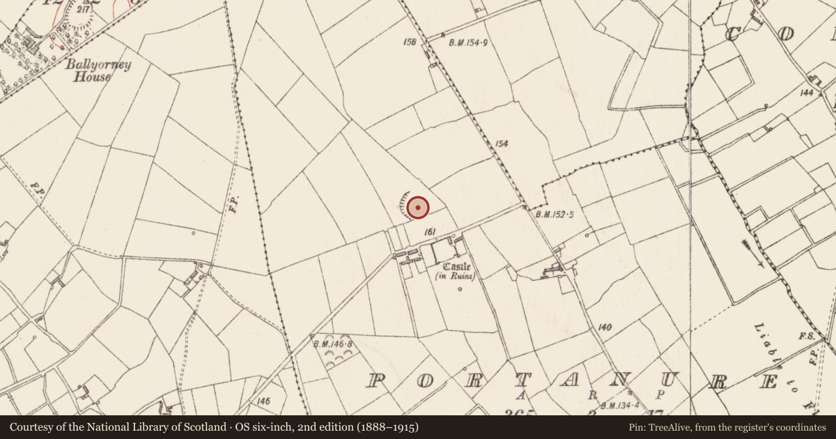 Ordnance Survey six-inch map, 2nd edition (1888–1915) covering the location of Burial ground, Portanure, County Longford, with a pin at the register's coordinates