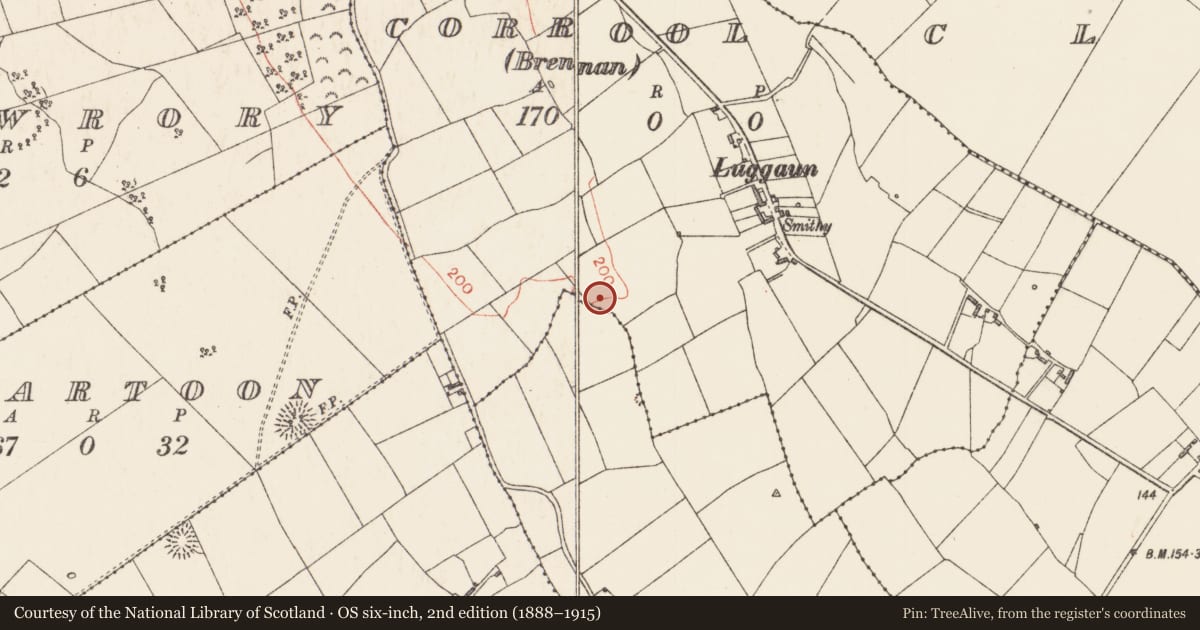 Ordnance Survey six-inch map, 2nd edition (1888–1915) covering the location of Ringfort - rath, Corrool (Brennan), County Longford, with a pin at the register's coordinates