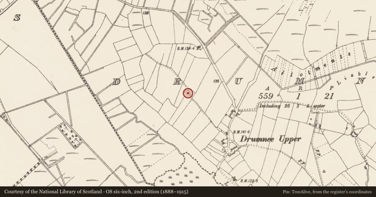 Ordnance Survey six-inch map, 2nd edition (1888–1915) covering the location of Ringfort - rath, Drumnee, County Longford, with a pin at the register's coordinates