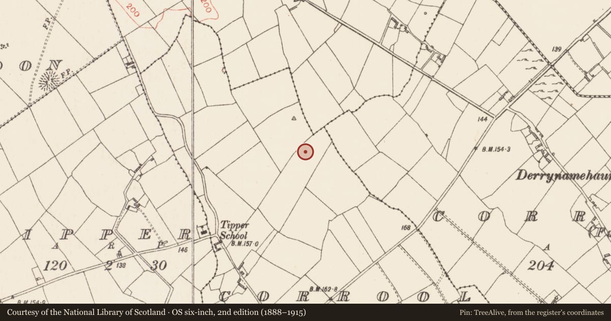 Ordnance Survey six-inch map, 2nd edition (1888–1915) covering the location of Ringfort - rath, Corrool (Kenny), County Longford, with a pin at the register's coordinates