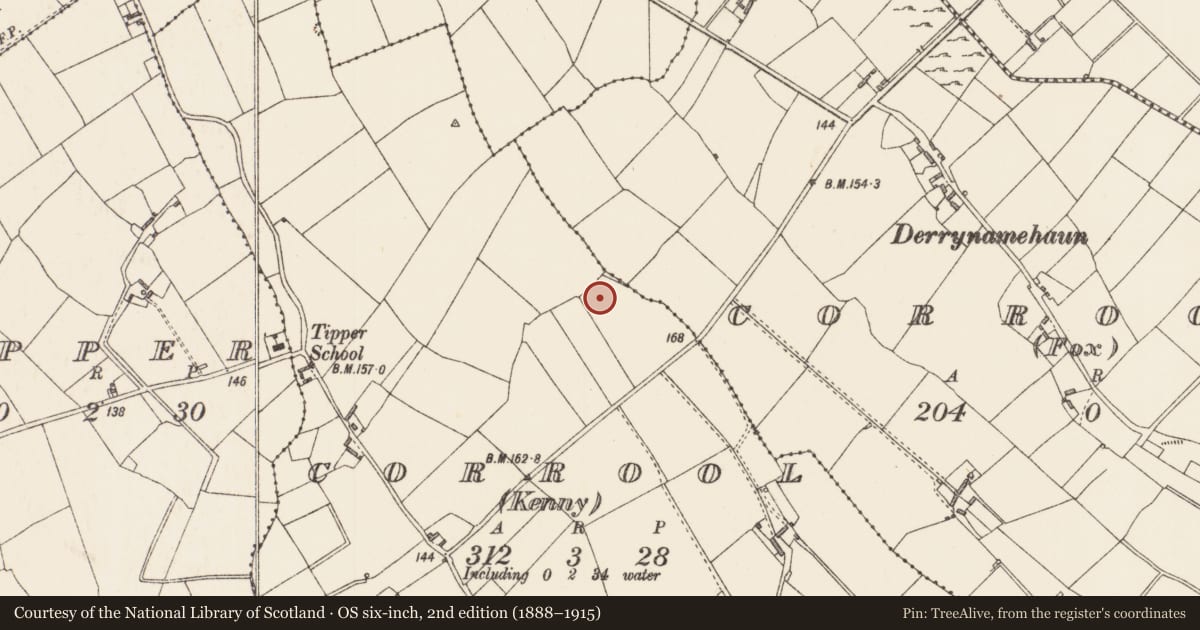 Ordnance Survey six-inch map, 2nd edition (1888–1915) covering the location of Ringfort - rath, Corrool (Kenny), County Longford, with a pin at the register's coordinates
