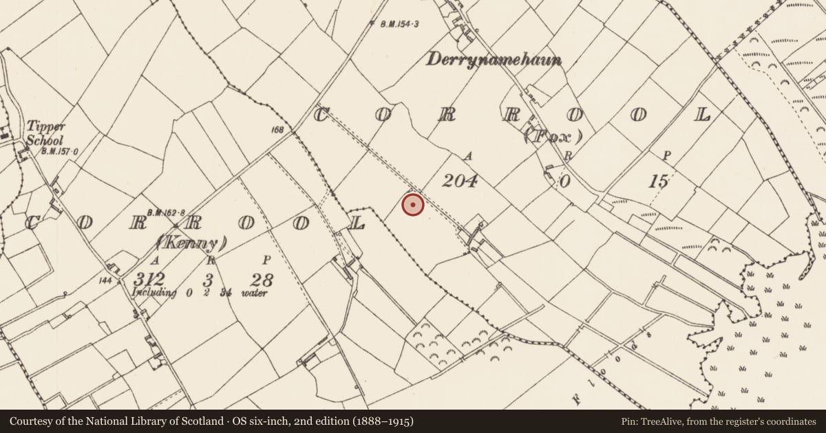 Ordnance Survey six-inch map, 2nd edition (1888–1915) covering the location of Ringfort - rath, Corrool (Fox), County Longford, with a pin at the register's coordinates
