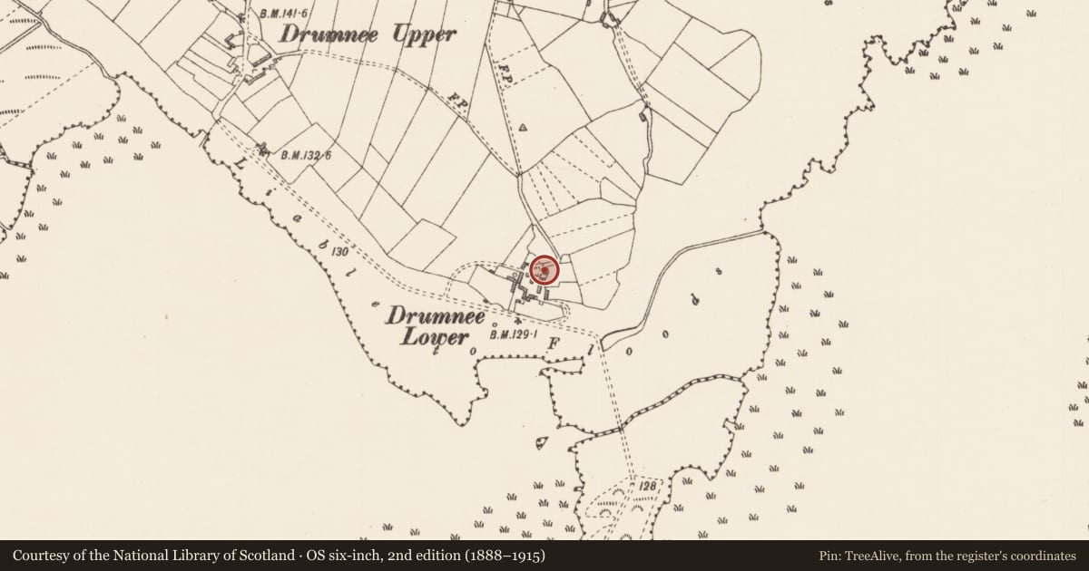 Ordnance Survey six-inch map, 2nd edition (1888–1915) covering the location of Ringfort - rath, Drumnee, County Longford, with a pin at the register's coordinates