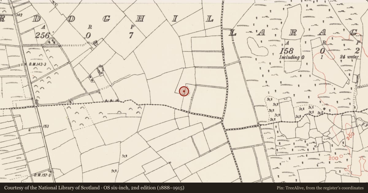 Ordnance Survey six-inch map, 2nd edition (1888–1915) covering the location of Ringfort - rath, Ardoghil, County Longford, with a pin at the register's coordinates