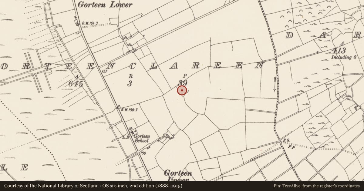 Ordnance Survey six-inch map, 2nd edition (1888–1915) covering the location of Ringfort - rath, Gorteenclareen, County Longford, with a pin at the register's coordinates