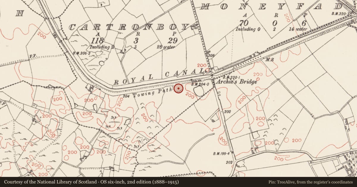 Ordnance Survey six-inch map, 2nd edition (1888–1915) covering the location of Ringfort - rath, Cartronboy, County Longford, with a pin at the register's coordinates