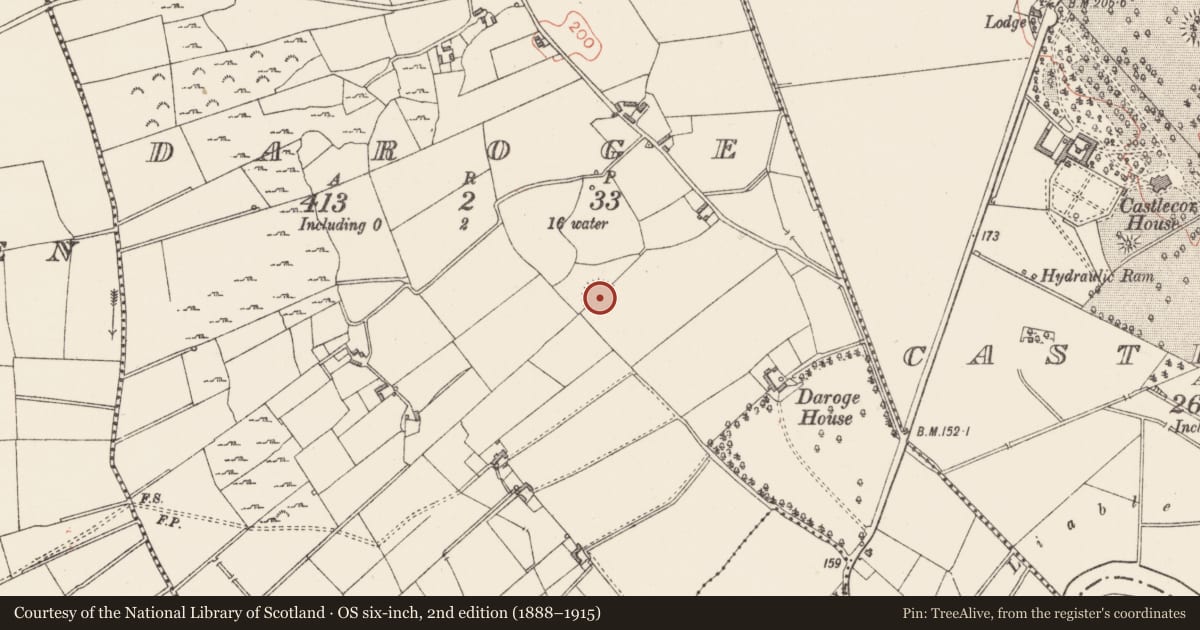 Ordnance Survey six-inch map, 2nd edition (1888–1915) covering the location of Ringfort - rath, Daroge, County Longford, with a pin at the register's coordinates