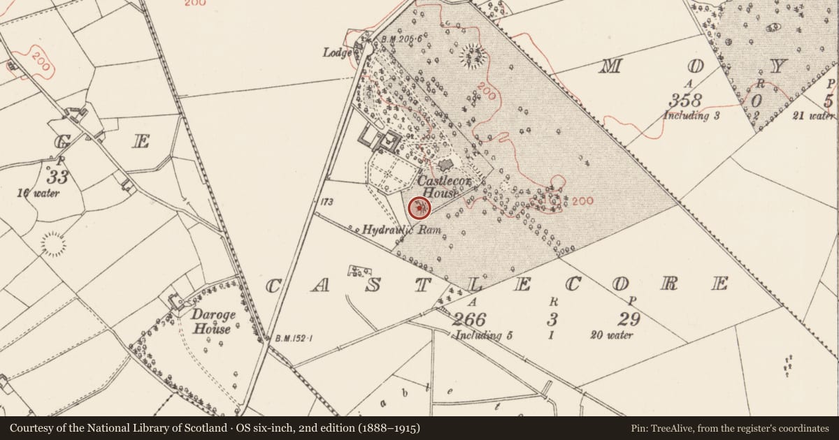 Ordnance Survey six-inch map, 2nd edition (1888–1915) covering the location of Castle - motte, Castlecore, County Longford, with a pin at the register's coordinates