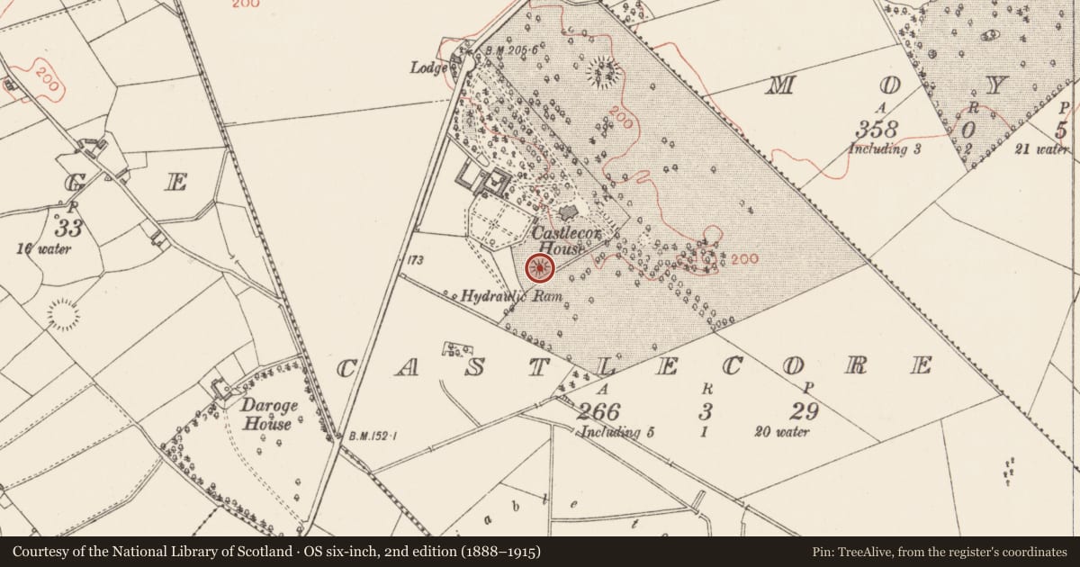 Ordnance Survey six-inch map, 2nd edition (1888–1915) covering the location of Castle - unclassified, Castlecore, County Longford, with a pin at the register's coordinates