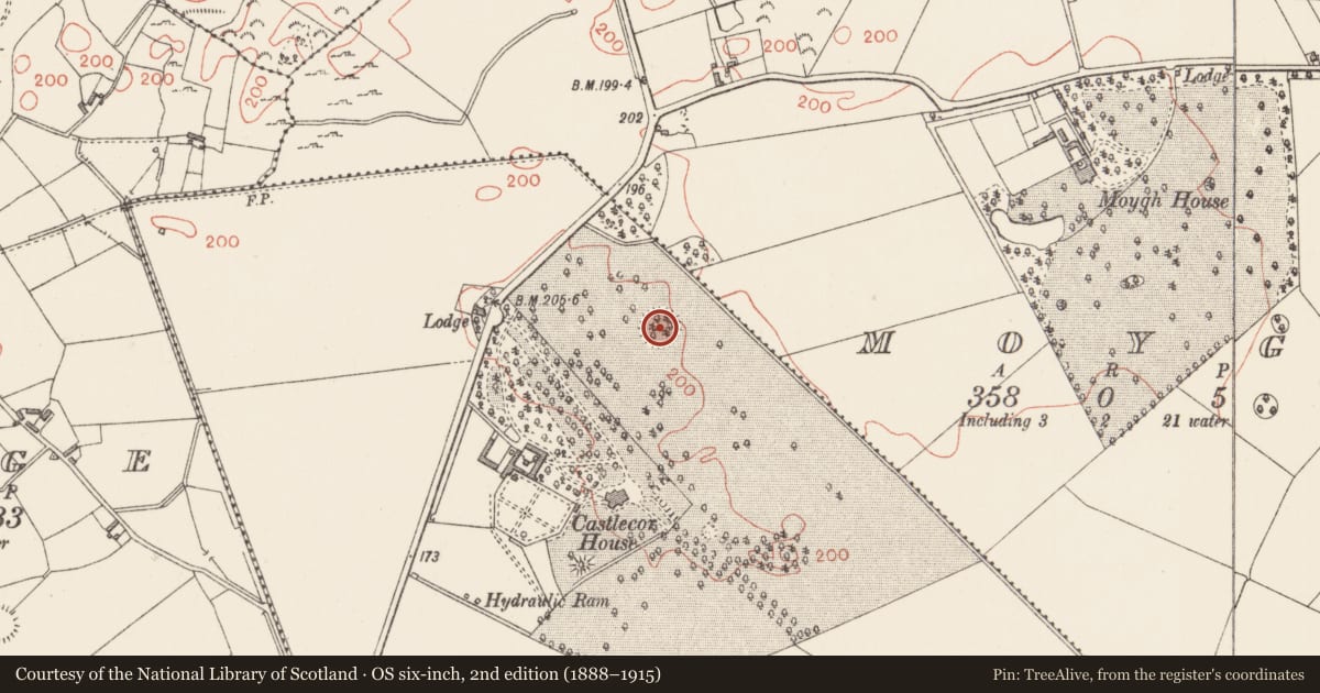 Ordnance Survey six-inch map, 2nd edition (1888–1915) covering the location of Ringfort - rath, Castlecore, County Longford, with a pin at the register's coordinates