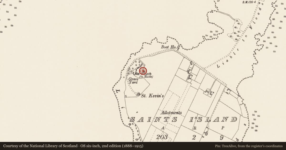 Ordnance Survey six-inch map, 2nd edition (1888–1915) covering the location of Church, Saints Island, County Longford, with a pin at the register's coordinates