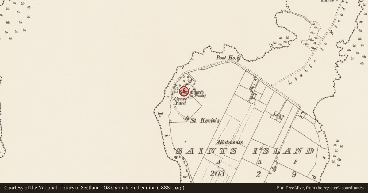 Ordnance Survey six-inch map, 2nd edition (1888–1915) covering the location of Graveslab, Saints Island, County Longford, with a pin at the register's coordinates