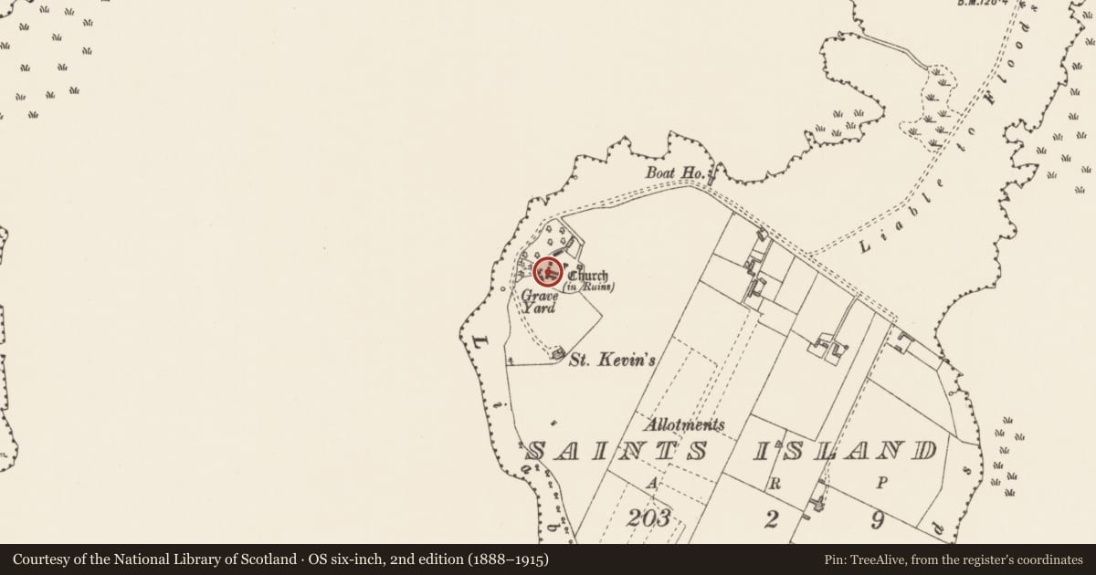 Ordnance Survey six-inch map, 2nd edition (1888–1915) covering the location of Architectural fragment, Saints Island, County Longford, with a pin at the register's coordinates