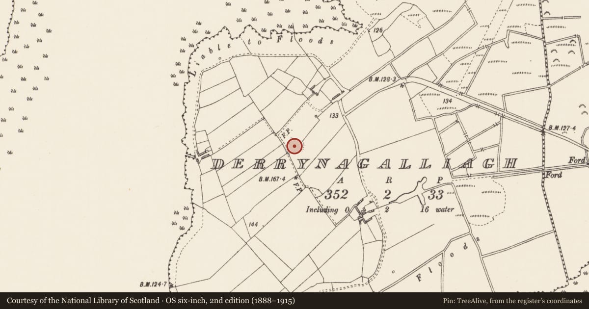 Ordnance Survey six-inch map, 2nd edition (1888–1915) covering the location of Ringfort - rath, Derrynagalliagh, County Longford, with a pin at the register's coordinates