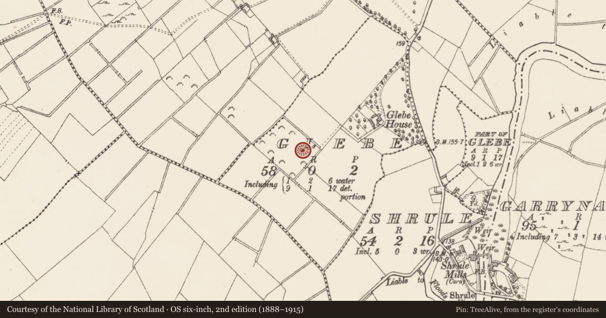 Ordnance Survey six-inch map, 2nd edition (1888–1915) covering the location of Ringfort - rath, Glebe, County Longford, with a pin at the register's coordinates