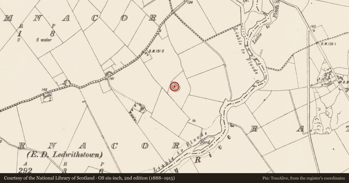 Ordnance Survey six-inch map, 2nd edition (1888–1915) covering the location of Ringfort - rath, Barnacor, County Longford, with a pin at the register's coordinates