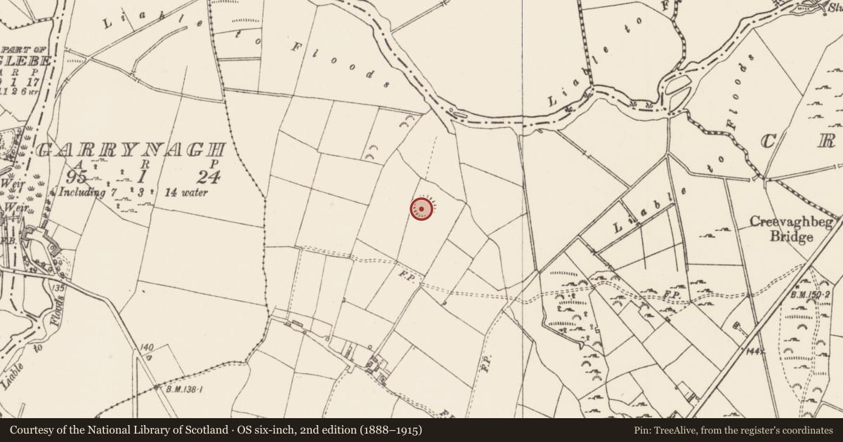 Ordnance Survey six-inch map, 2nd edition (1888–1915) covering the location of Ringfort - rath, Rathmore, County Longford, with a pin at the register's coordinates