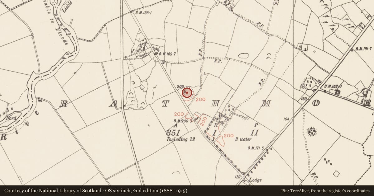 Ordnance Survey six-inch map, 2nd edition (1888–1915) covering the location of Ringfort - rath, Rathmore, County Longford, with a pin at the register's coordinates