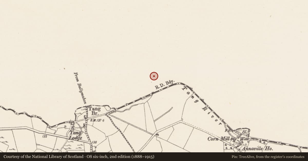 Ordnance Survey six-inch map, 2nd edition (1888–1915) covering the location of Ringfort - rath, Rathmore, County Longford, with a pin at the register's coordinates
