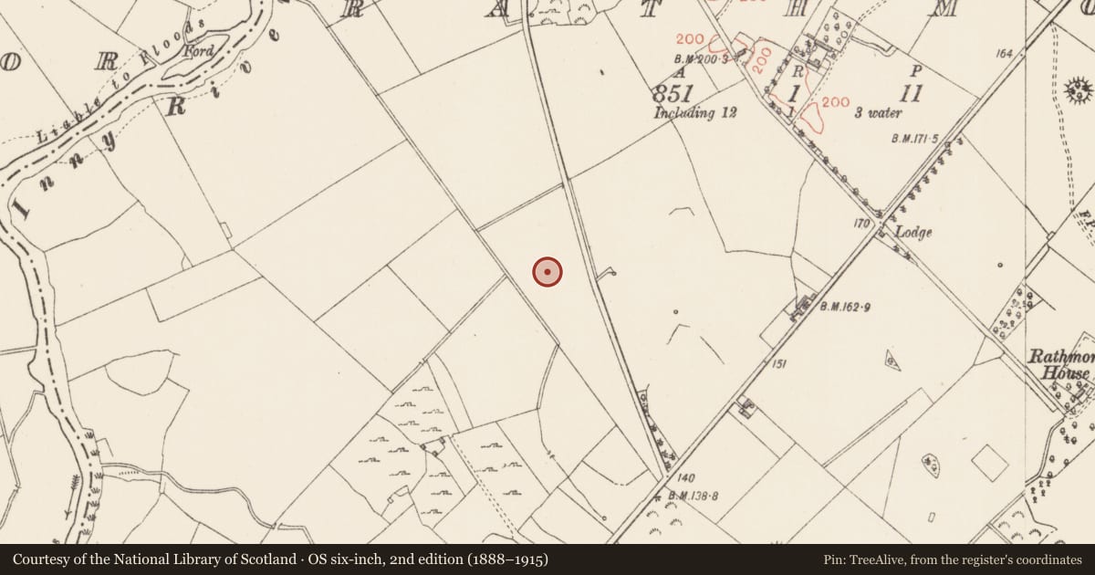 Ordnance Survey six-inch map, 2nd edition (1888–1915) covering the location of Fulacht fia, Rathmore, County Longford, with a pin at the register's coordinates