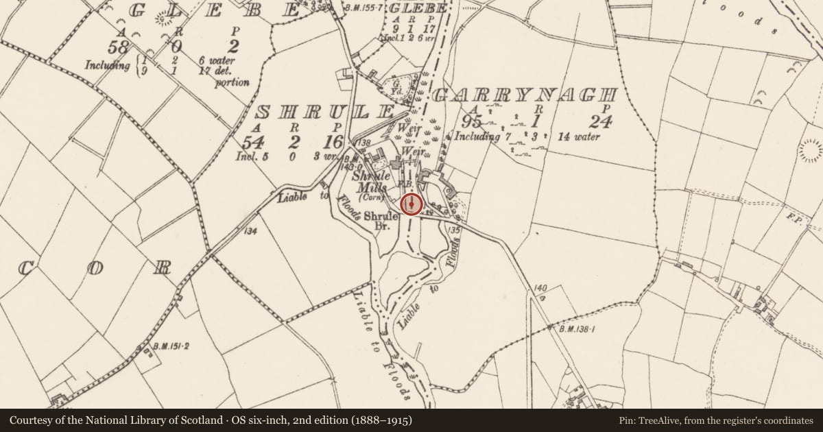 Ordnance Survey six-inch map, 2nd edition (1888–1915) covering the location of Bridge, Shrule, County Longford, with a pin at the register's coordinates